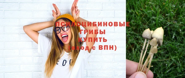спиды Армянск