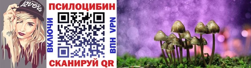 Галлюциногенные грибы Cubensis Нижнеудинск