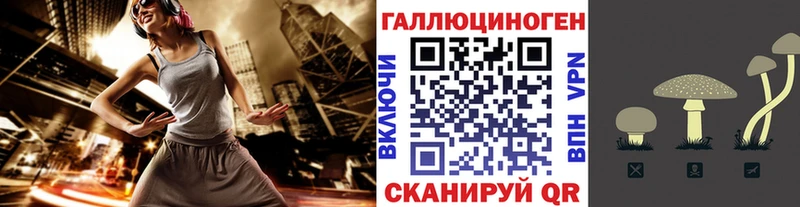 купить наркотики сайты  Нижнеудинск  Псилоцибиновые грибы ЛСД 